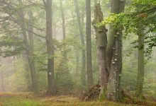 a26 hiking trail yuruyus tutkunlarina ozel rehber